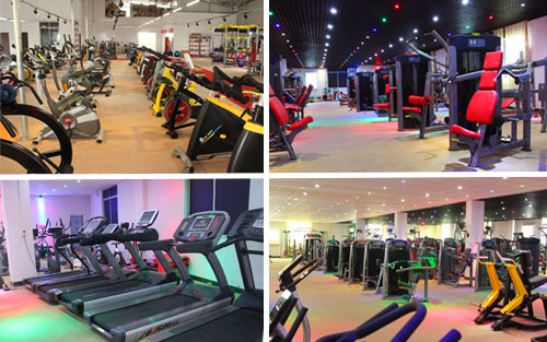 gym equipment showroom