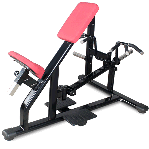 BFT1060 Incline Lever Row Back - Rowing Machine For Sale_BFT Fitness ...