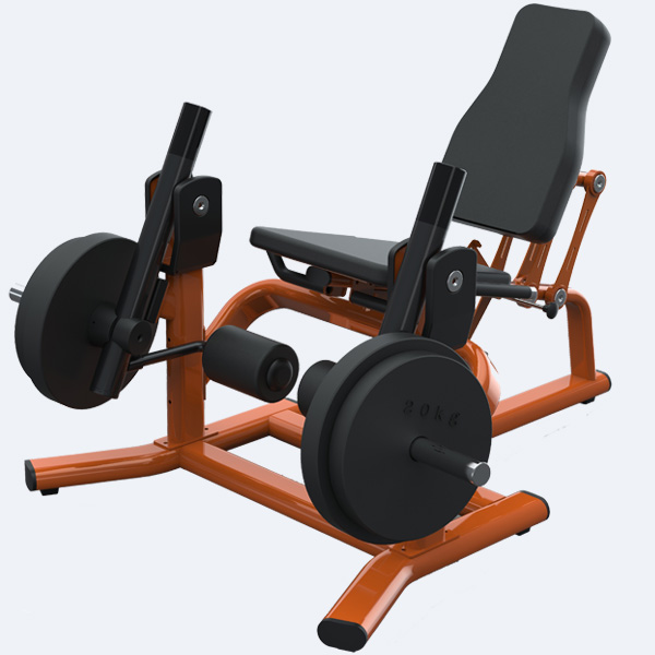 5 Day Gym Leg Extension Machine Price for Push Pull Legs