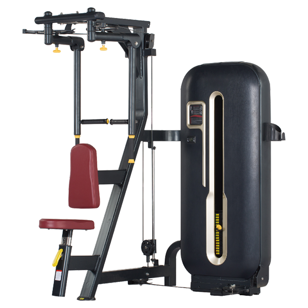 BFT-7003 Body fit Rear Delt machine_BFT Fitness Equipment