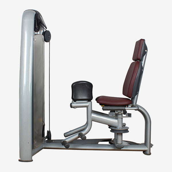 Inner Thigh Adductor