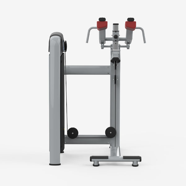 Standing Calf Machine