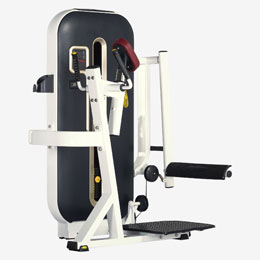 Standing Leg Extension