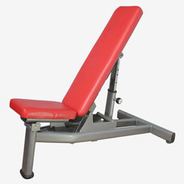 Multi Adjustable Bench