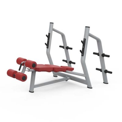 Decline Bench