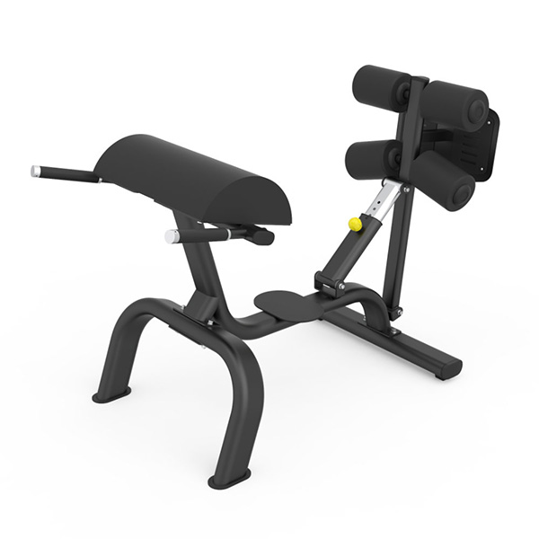 Adjustable Roman Chair