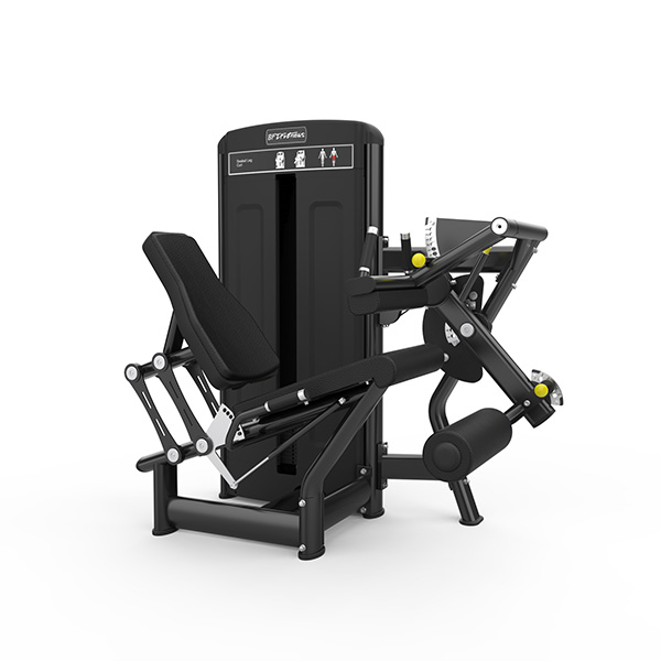 Seated Leg Curl
