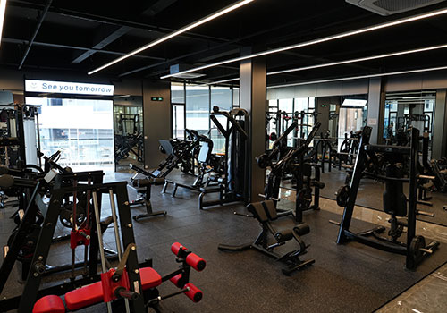 Building a Balanced Gym: The Role of Strength and Cardio Equipment