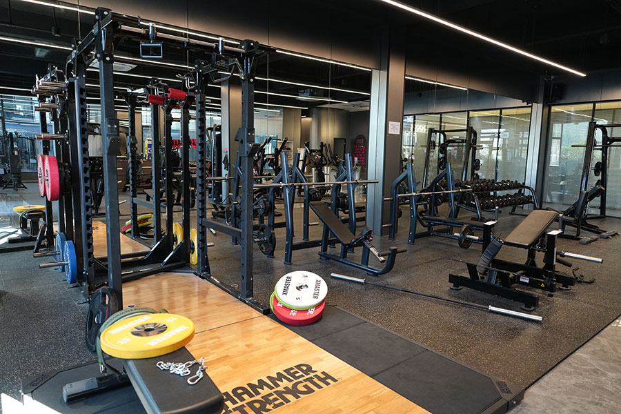 SYT Gym